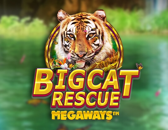 Big Cat Rescue Megaways